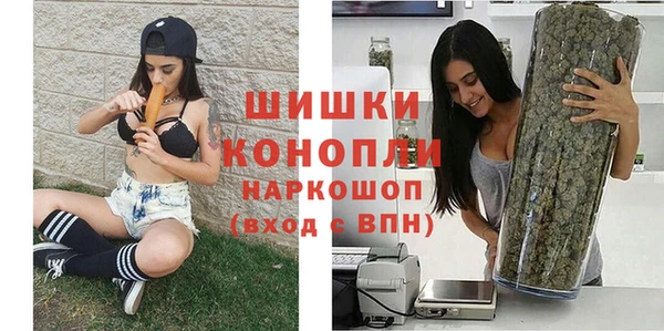 гидра Абаза