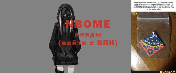 гидра Абаза