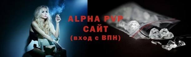 гидра Абаза