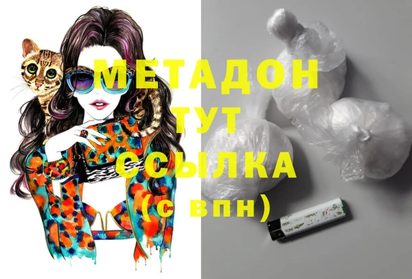 гидра Абаза