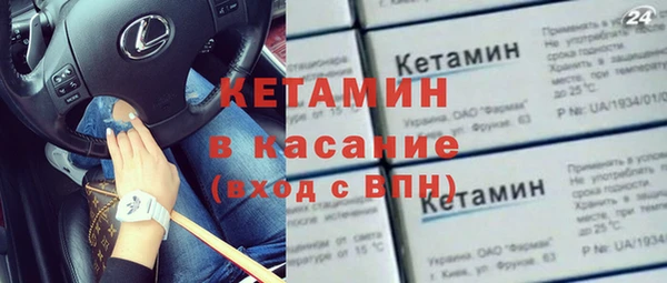 гидра Абаза