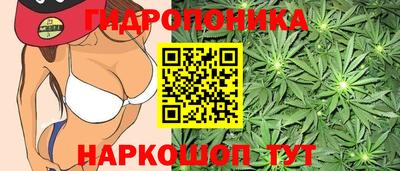 гидра Ангарск