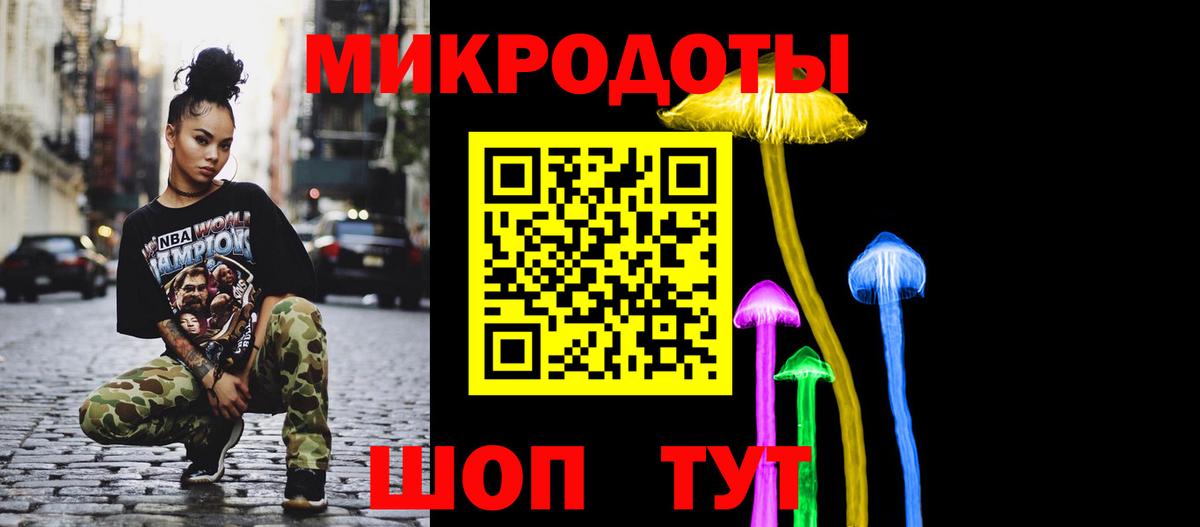 Псилоцибиновые грибы Psilocybine cubensis Архангельск