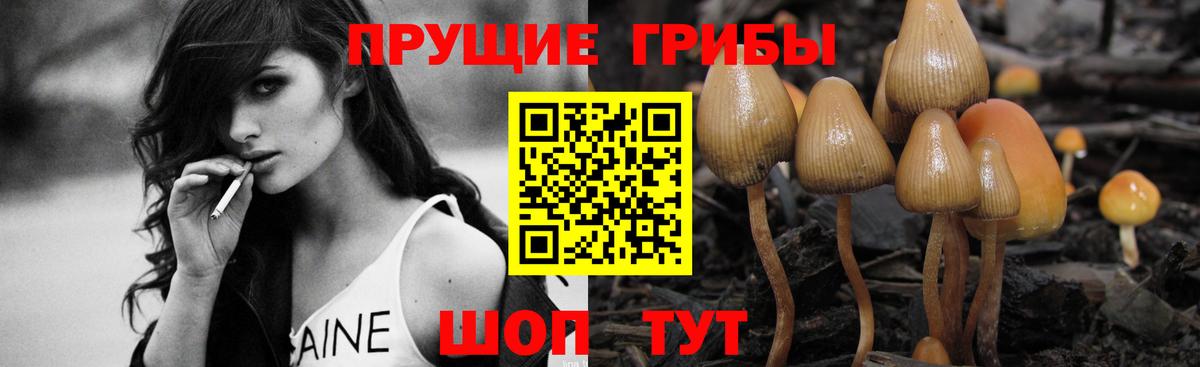 магазин  наркотиков  Вход с VPN  Архангельск  Псилоцибиновые грибы ЛСД 